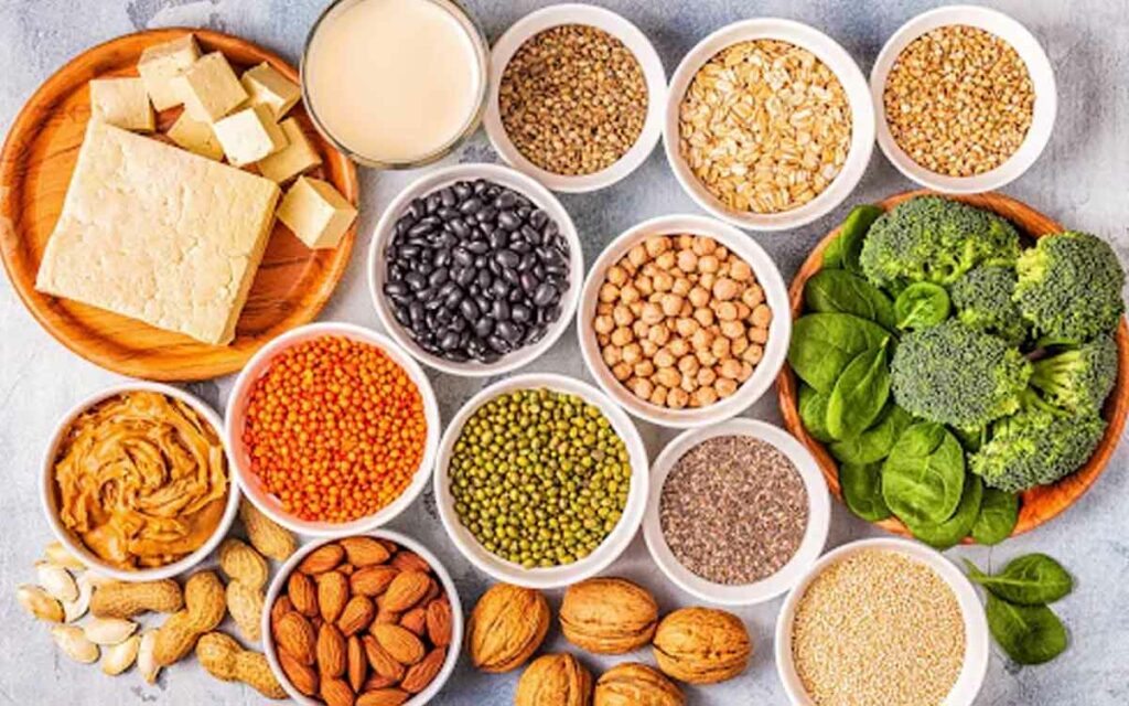 Vegetarian Protein Foods