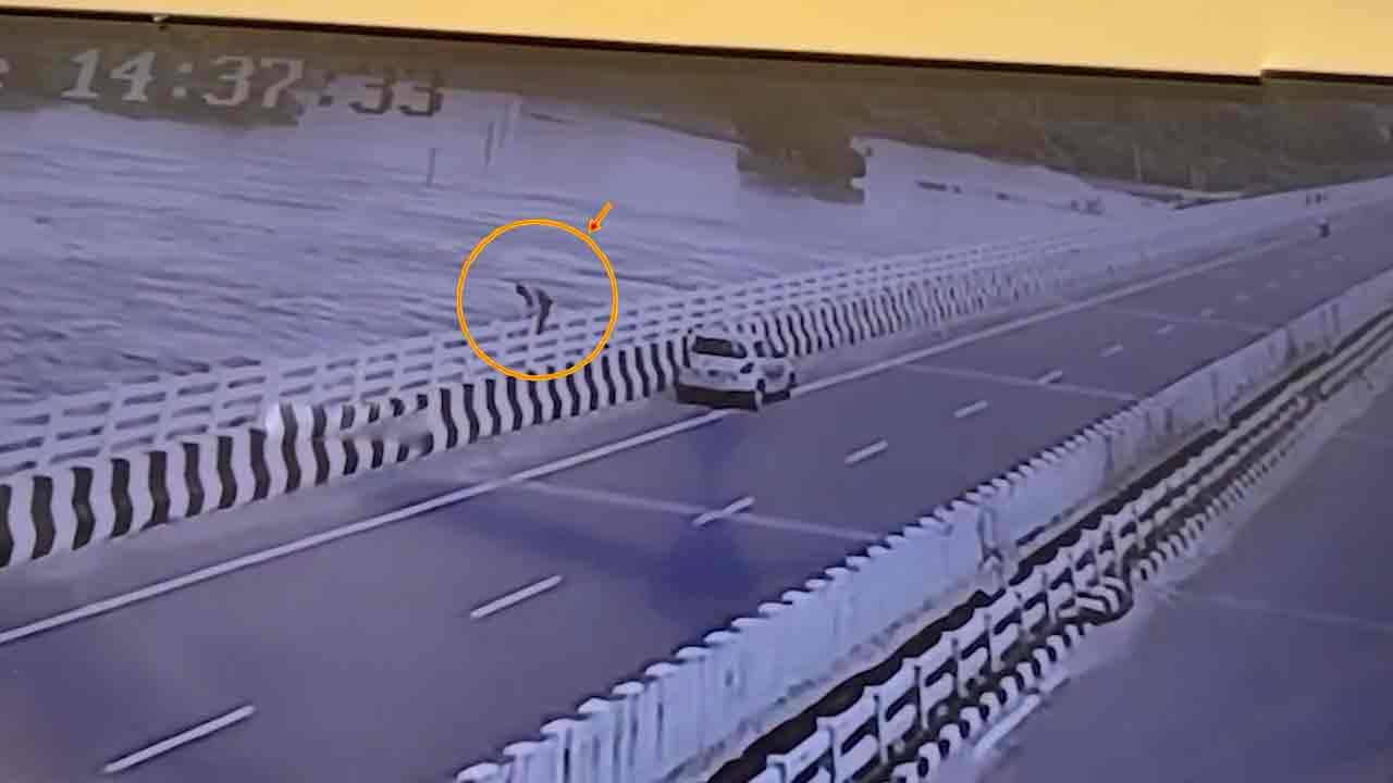 Manjeera River | మంజీర నదిలో దూకి యూట్యూబర్ ఆత్మహత్య..