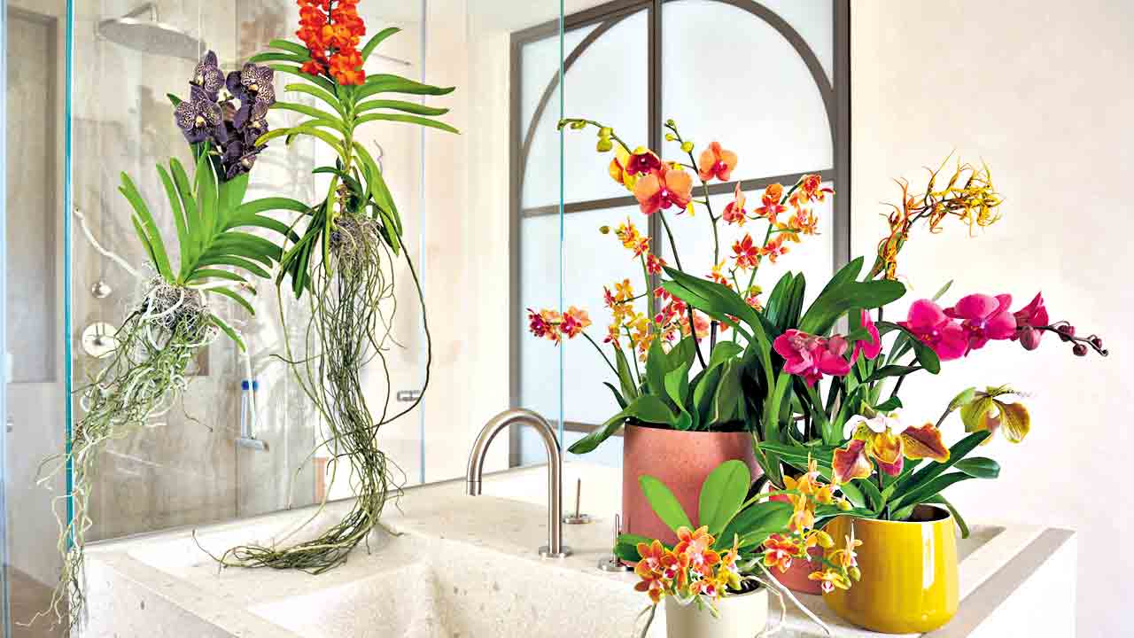 స్నానాల గదే.. స్పా!