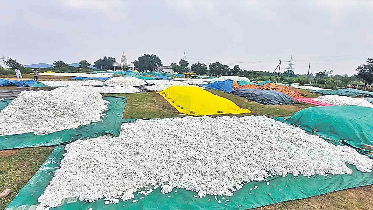 పంటలు కొనే దిక్కులేదు!.. అన్నదాతకు పెను శాపంగా సర్కారు నిర్లక్ష్యం