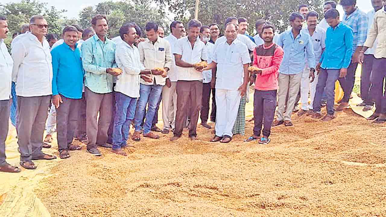 సన్నవడ్లకు బోనస్ ఎప్పుడు.. రాష్ట్ర వ్యాప్తంగా రైతులకు రూ.1,300 కోట్లు బకాయి