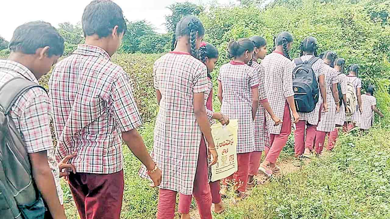 బడికి పోవాలంటే కాళ్లకు పనిచెప్పాల్సిందే.. ముఖ్యమంత్రి ఇలాకాలోని ముశ్రీఫా గ్రామ దుస్థితి
