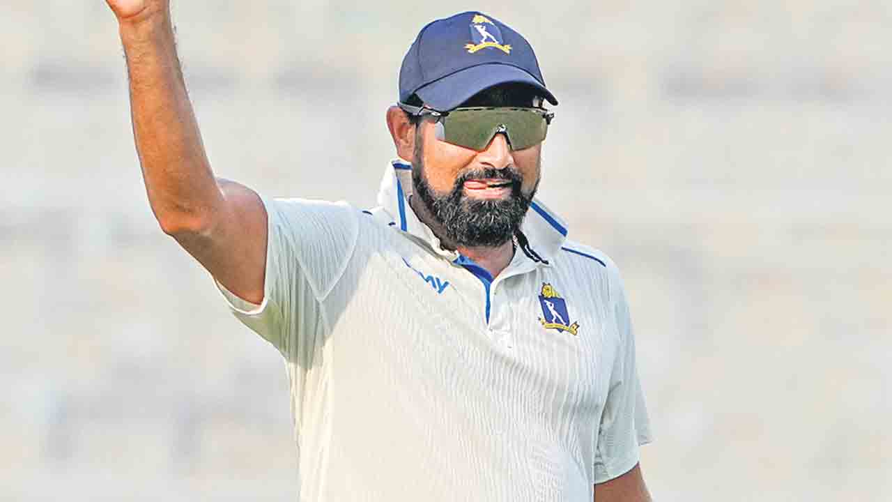 షమీ ఫైఫర్‌