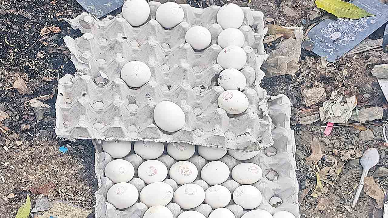 చెత్తకుప్పలో అంగన్‌వాడీ గుడ్లు