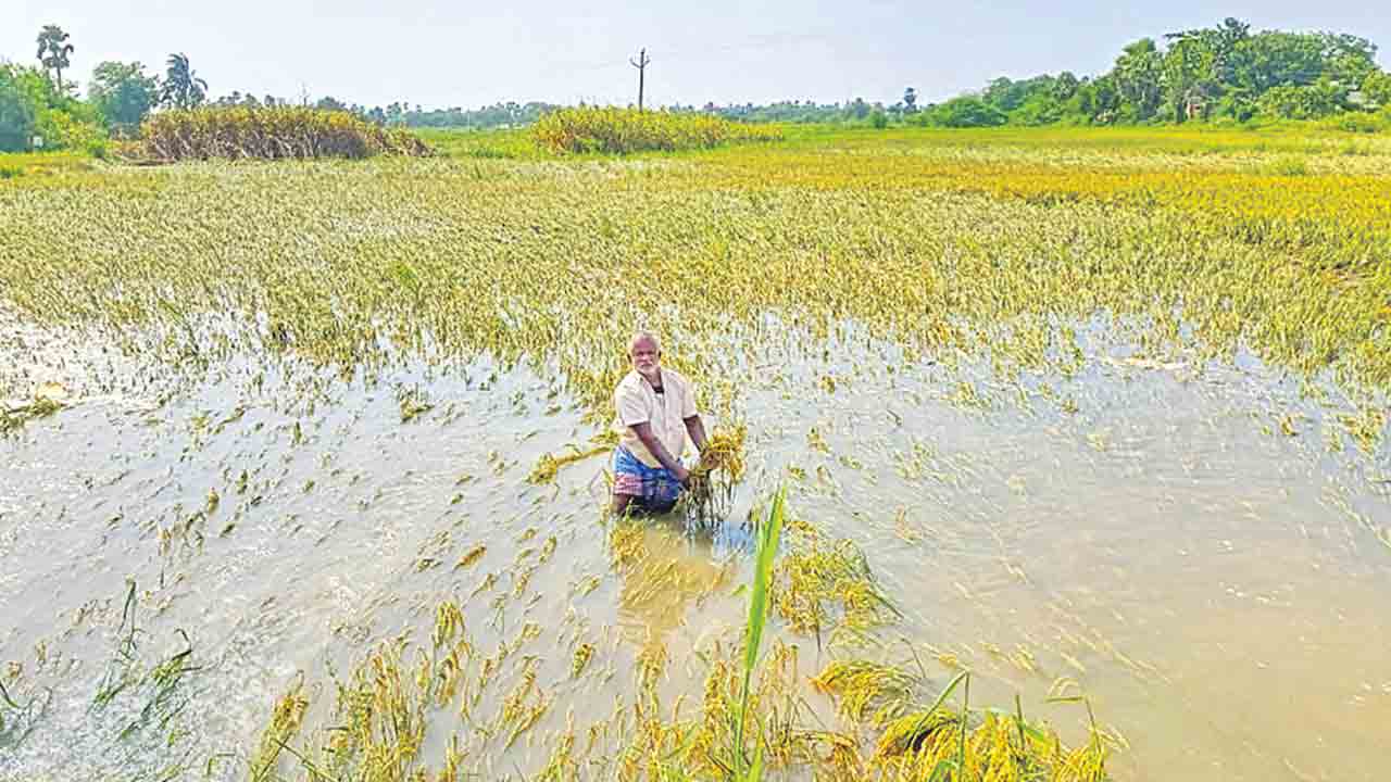 పంట నష్టం.. ప్రకటనలకే పరిమితం