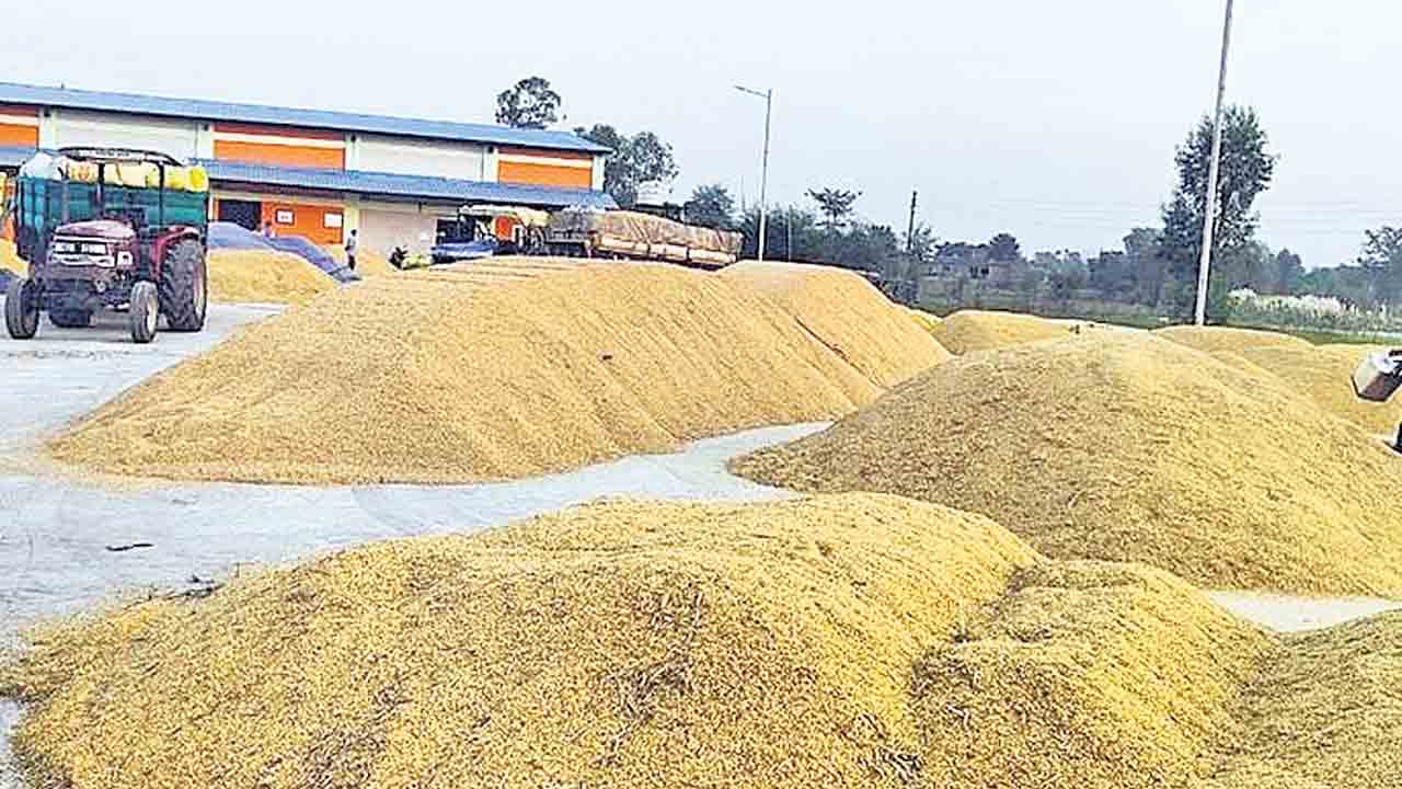 తేమ 17 శాతం దాటితే ధాన్యం కొనేదిలేదు