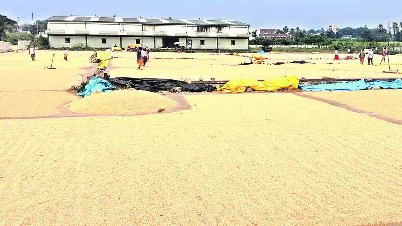 మక్కరైతుకు మద్మతేది ?