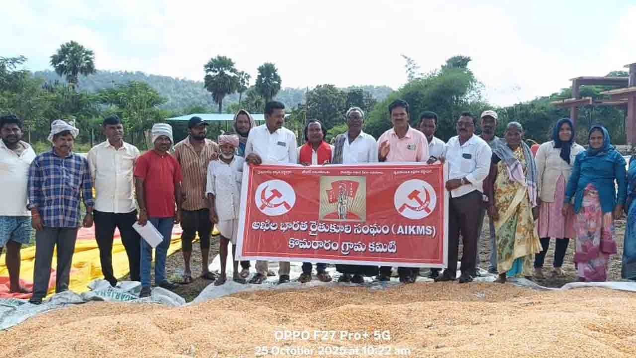 తడిసిన మొక్కజొన్నలు కొనుగోలు చేయాలి
