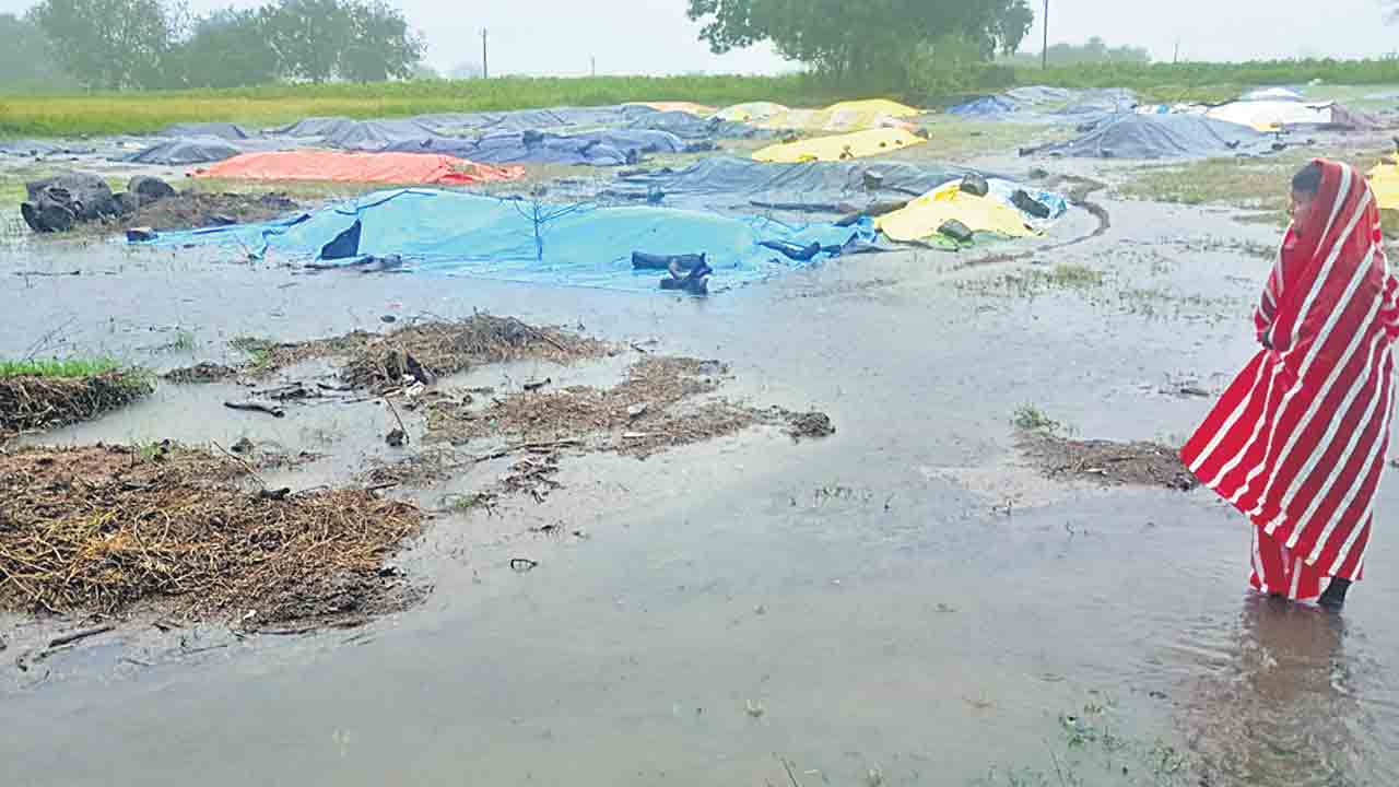 సిద్దిపేట జిల్లాలో భారీ వర్షం