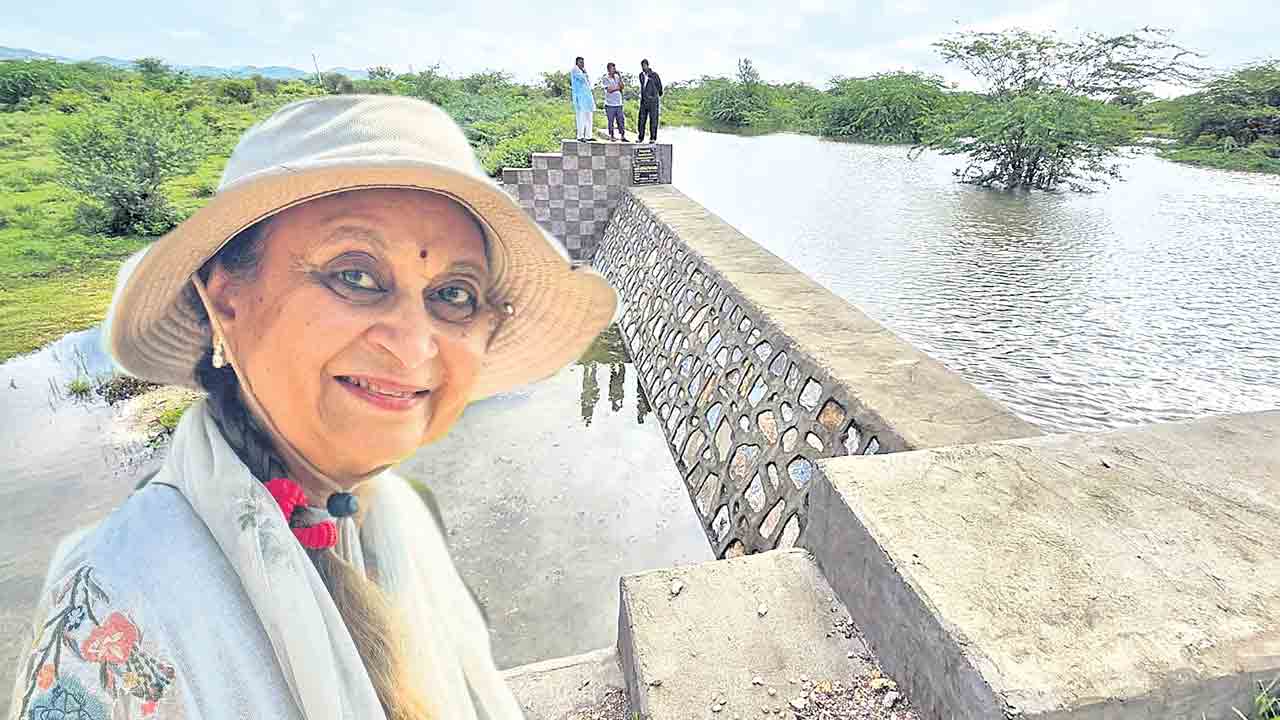 ఎడారి దారిలో ఒయాసిస్‌ ఆమ్లా