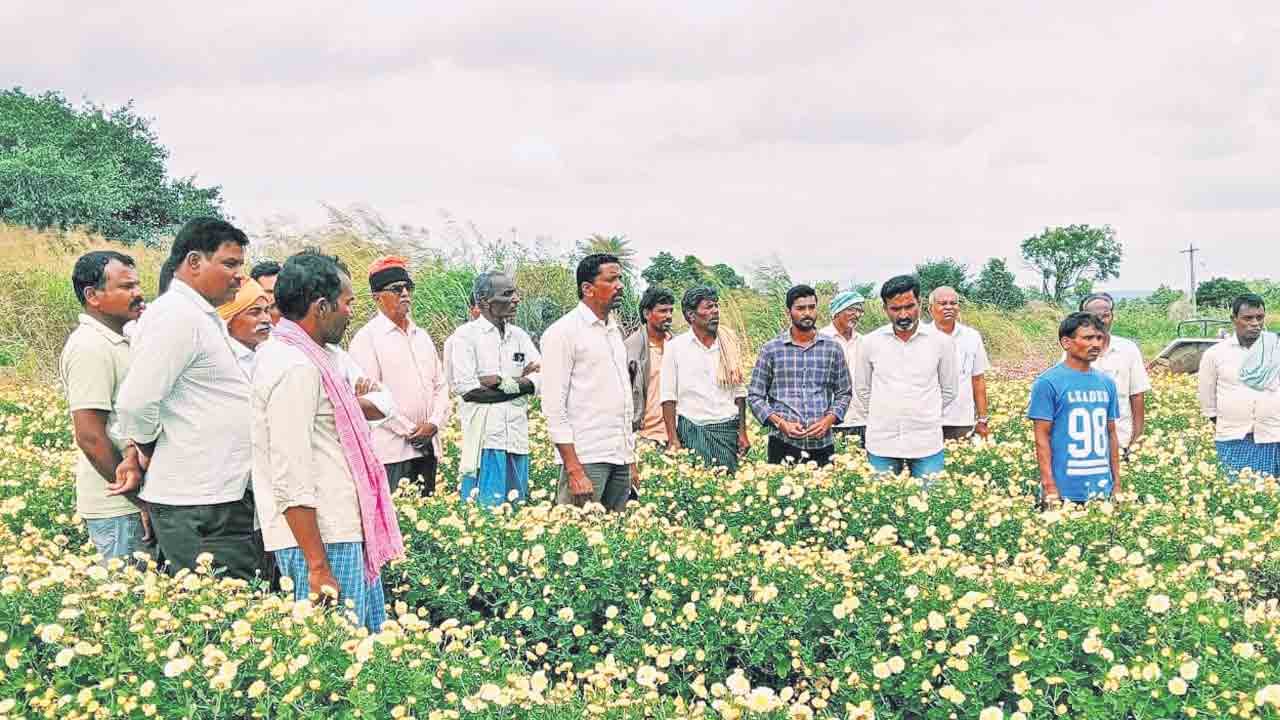 కొత్త అలైన్‌మెంట్‌ను ఒప్పుకోం