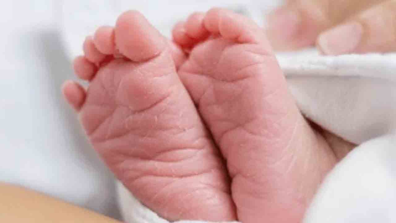 స్టేట్ హోమ్కు పసికందు తరలింపు