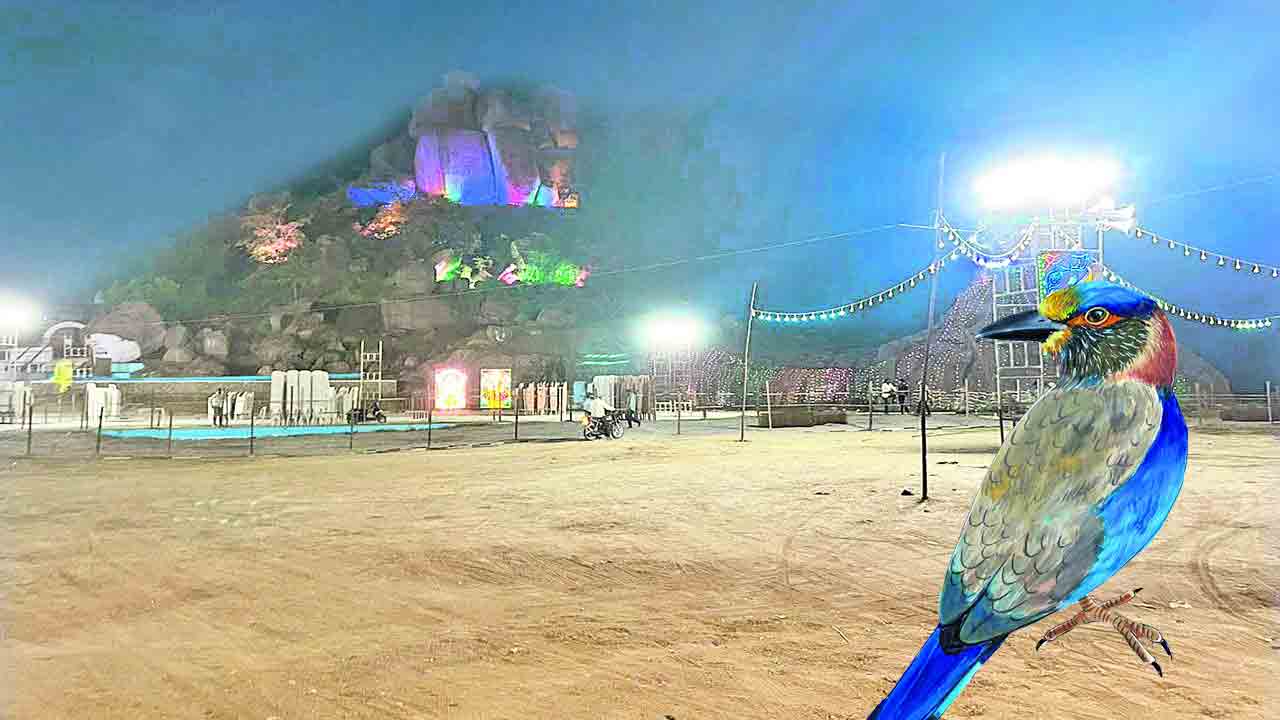 విజయీభవ..