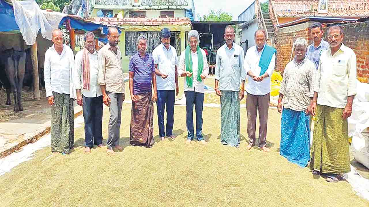 పెసర కొనుగోలుకు సర్కారు ససేమిరా!