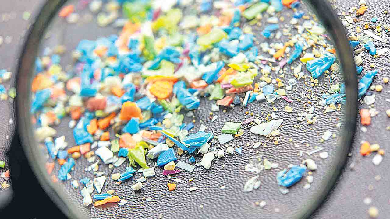 మింగేస్తున్న మైక్రో ప్లాస్టిక్‌