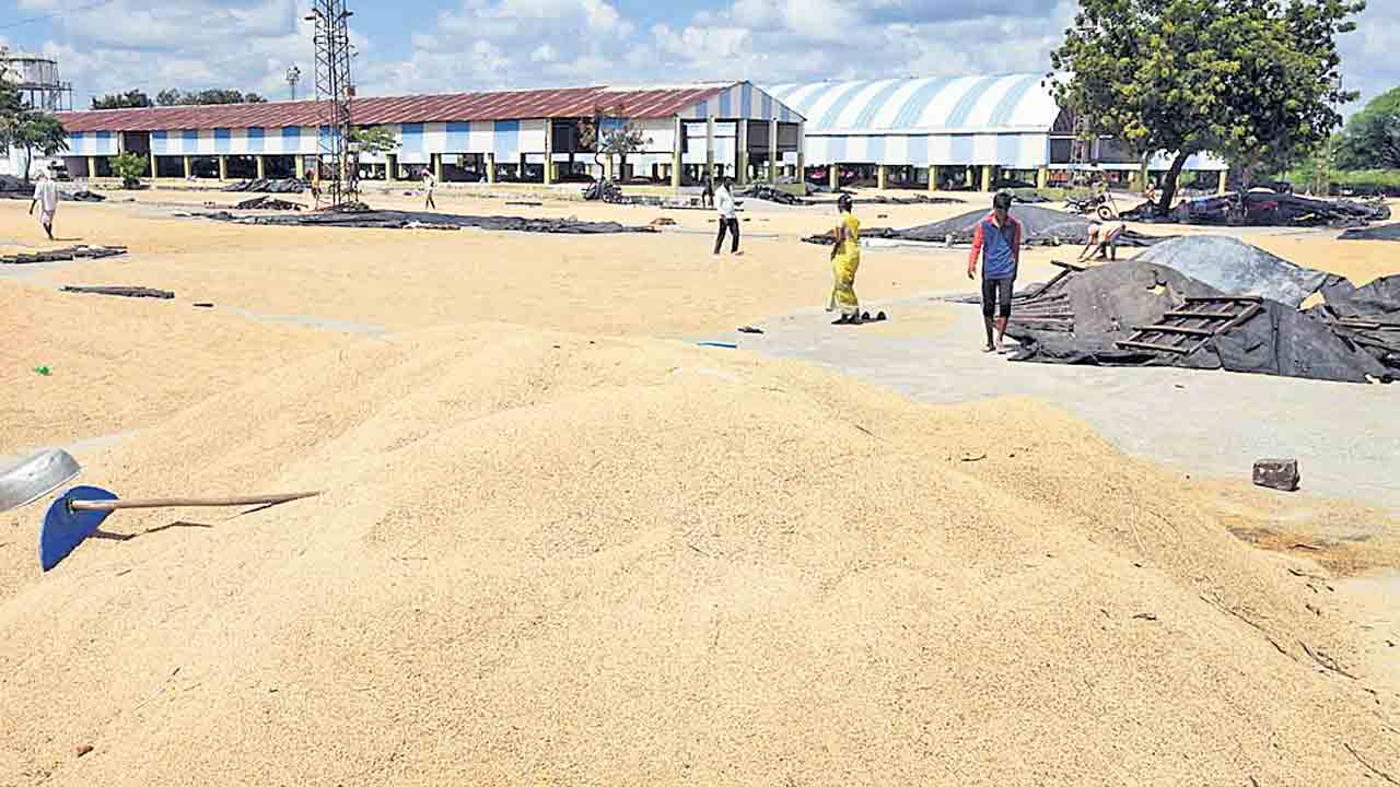 ఎక్కడి ధాన్యం అక్కడే !