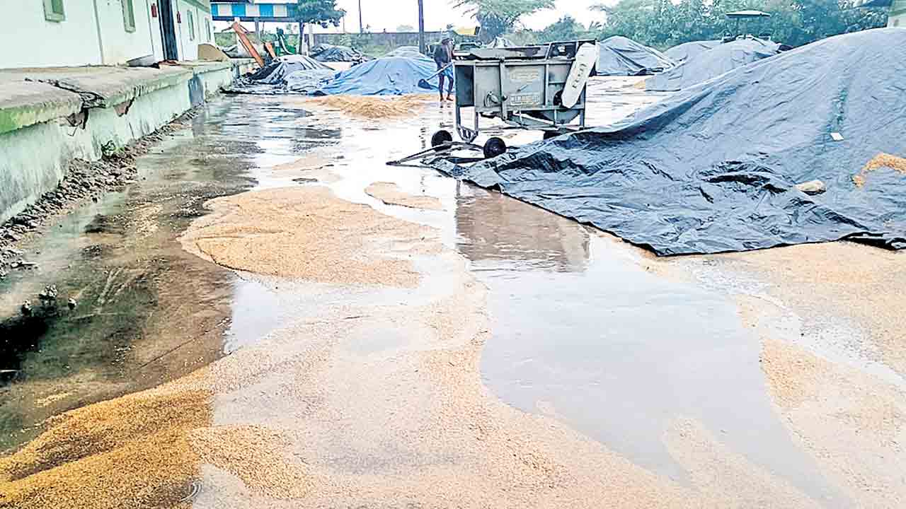 మొంథా తుపాను వచ్చినా.. మొద్దునిద్ర వీడని సర్కారు