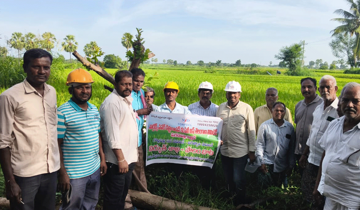 Field trip | నర్సింహునిపేటలో విద్యుత్ అధికారులు పొలంబాట