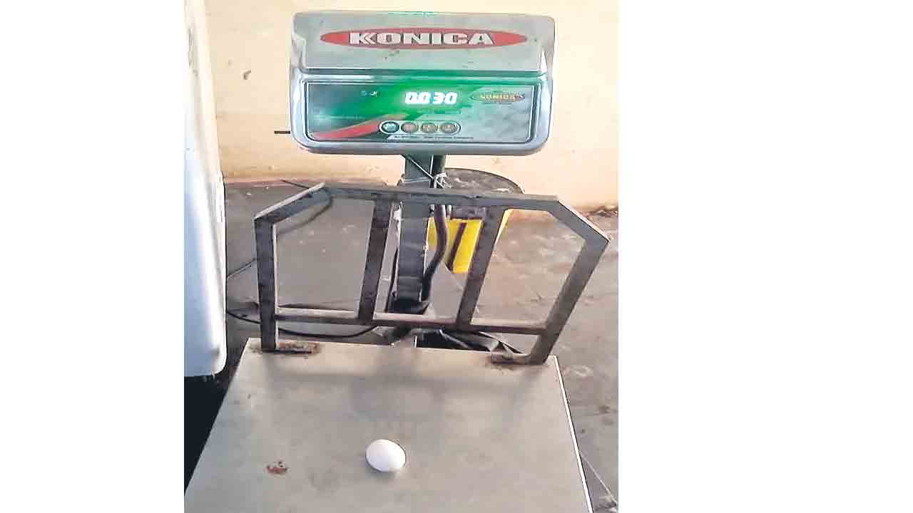 సైజు తక్కువ ధర ఎక్కువ.. అంగన్‌వాడీ సెంటర్లు, హాస్టళ్లకు నాసిరకం కోడిగుడ్లు