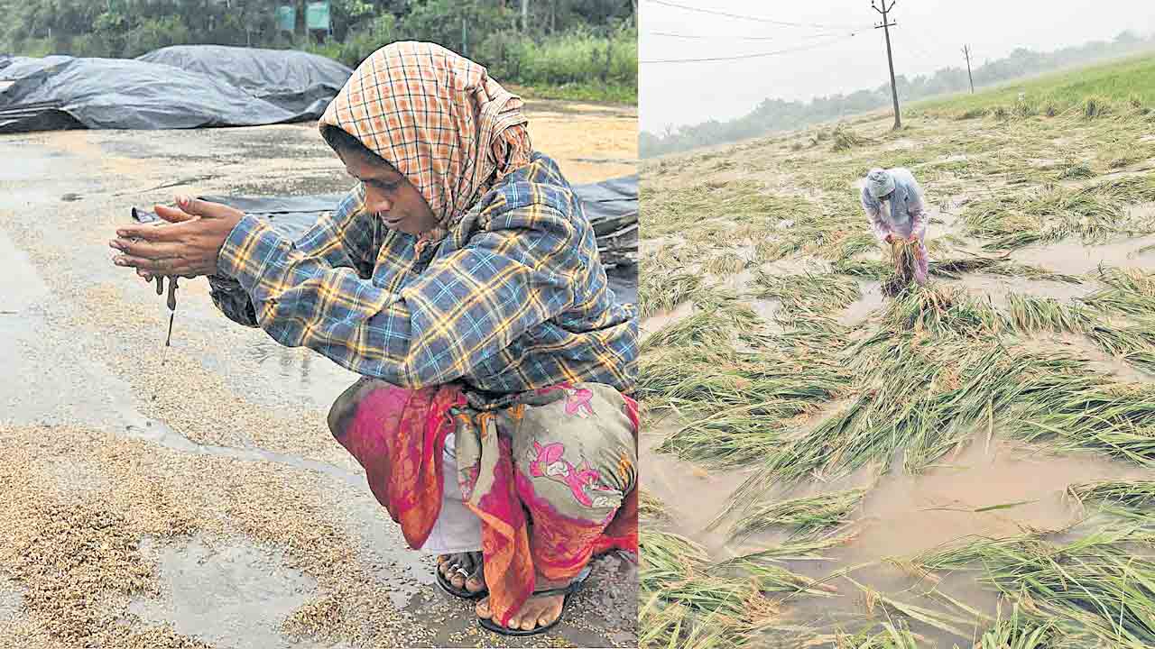 తెలంగాణలో వర్షబీభత్సం… రైతును ముంచిన తుపాను