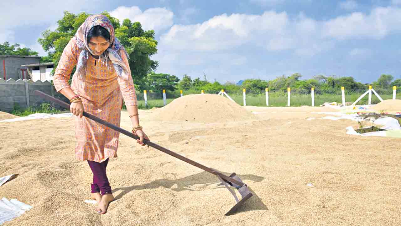 ఎక్కడి వడ్లు అక్కడే!