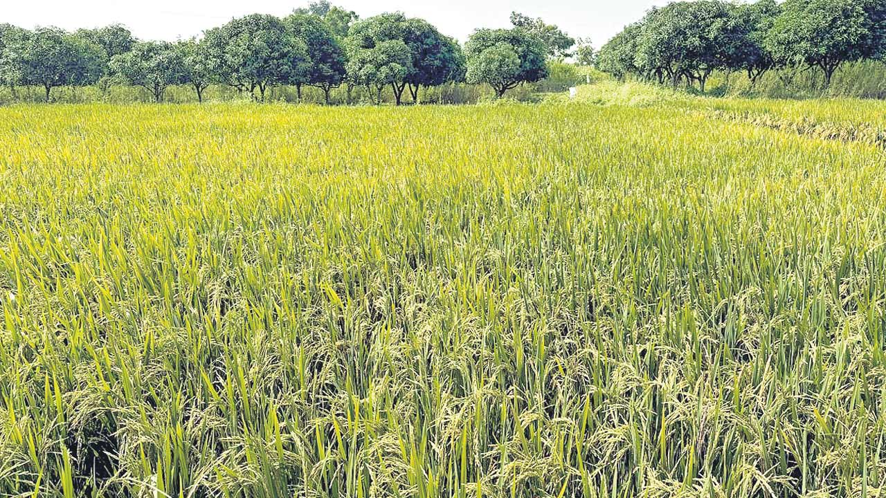 Adilabad