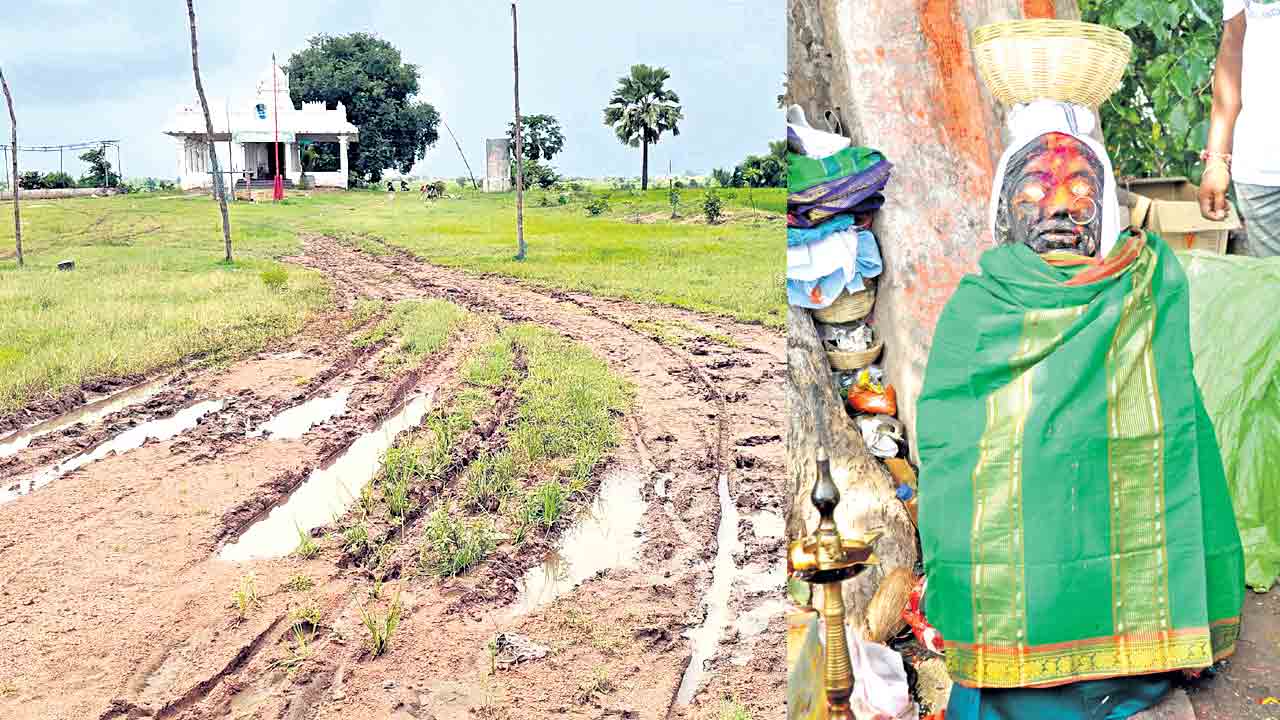 దండారీ సంబురం