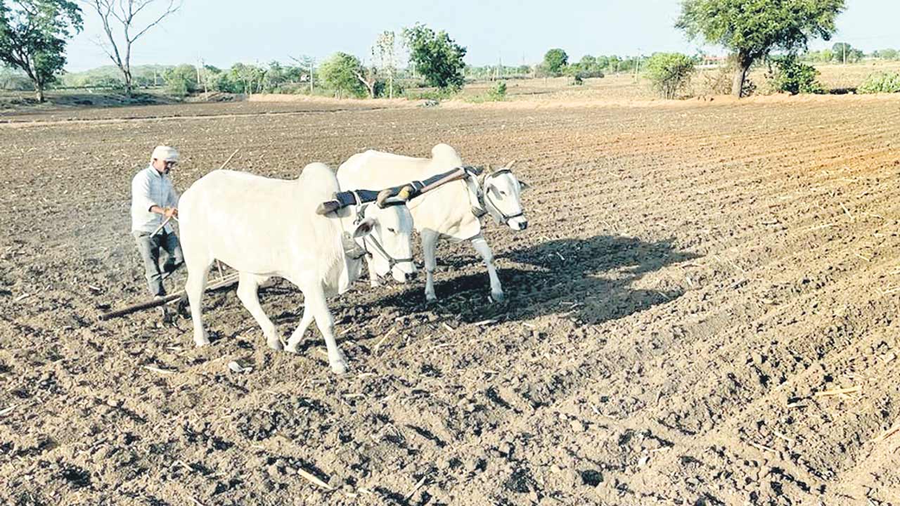 పీఎం కిసాన్‌కు కొర్రీలు