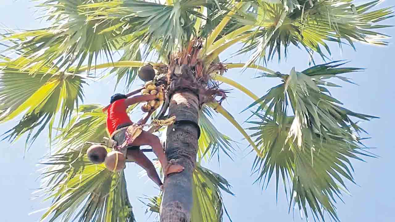 కోటాపై రక్తికట్టని కాంగ్రెస్‌ నాటకాలు