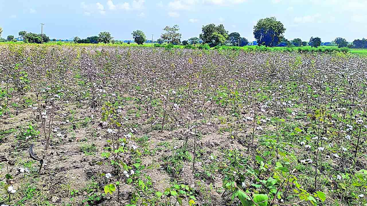 రైతు నెత్తిన మరో పిడుగు!