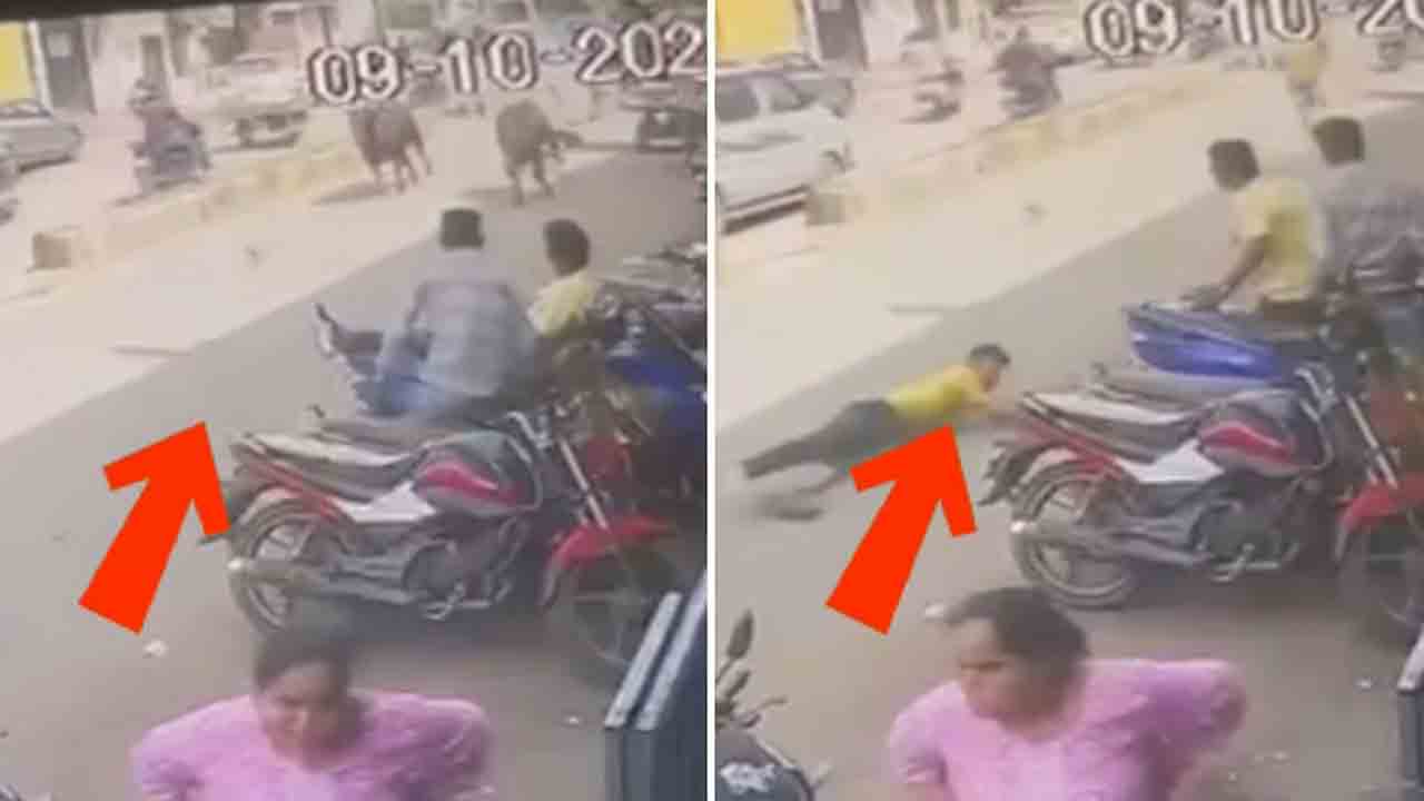 Watch: ఆవును పట్టుకునేందుకు ప్రయత్నించిన మున్సిపల్ సిబ్బంది.. తర్వాత ఏం   జరిగిందంటే?