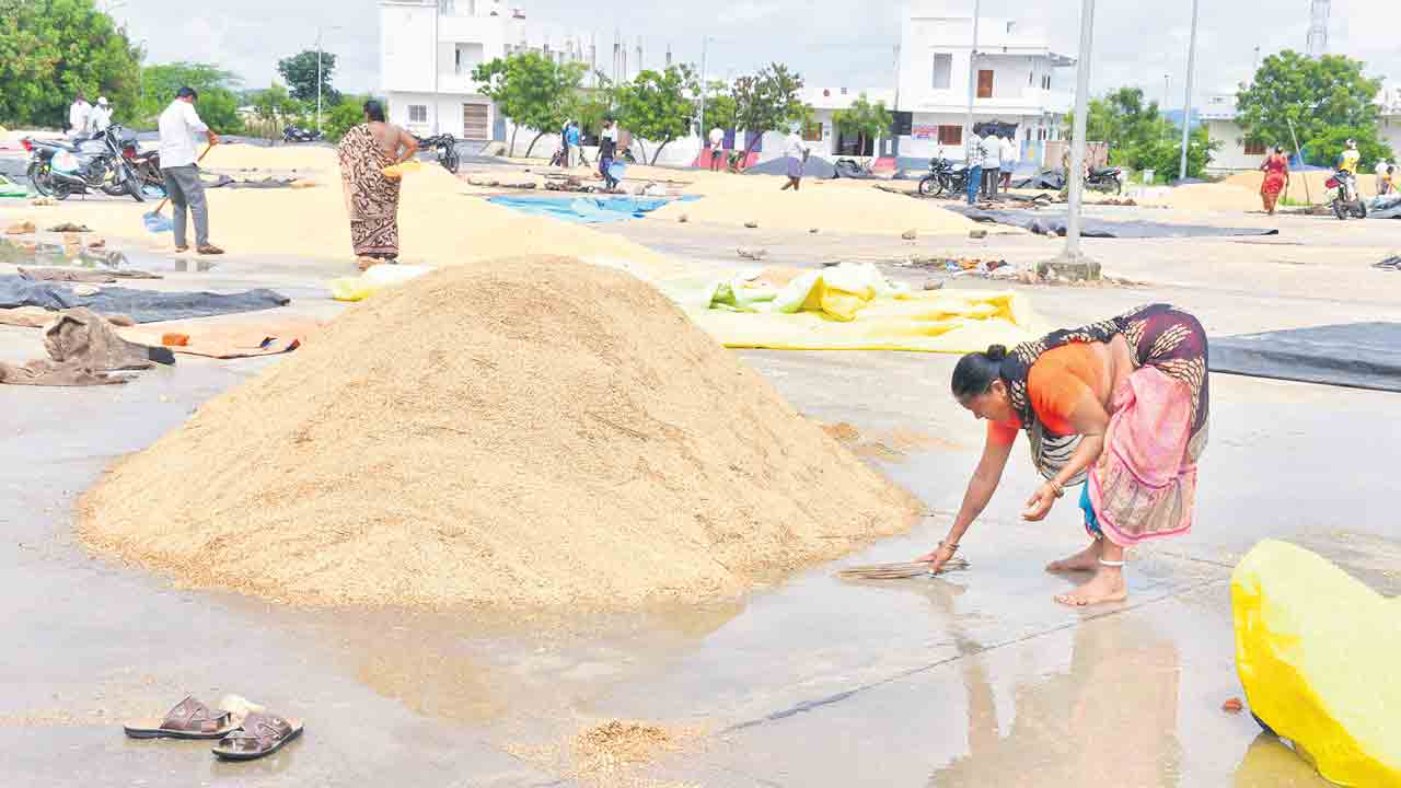 ధాన్యం వర్షార్పణం