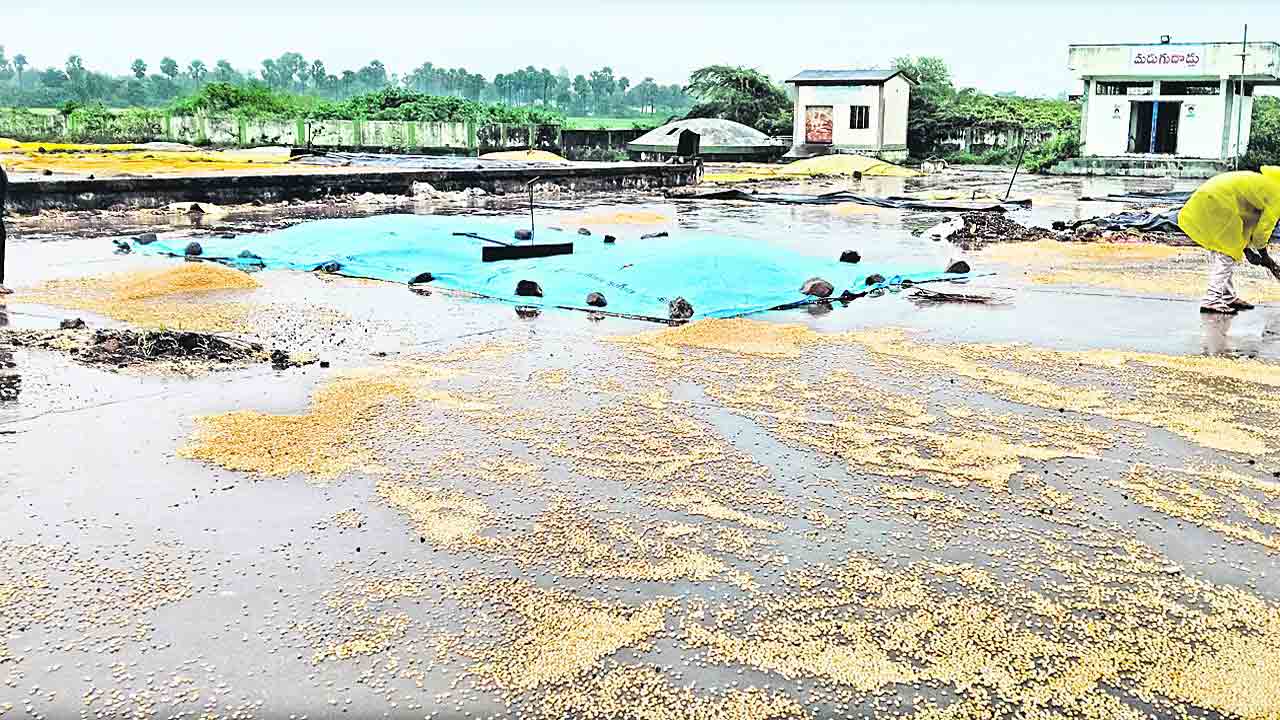 అకాల వర్షం రైతుల ఆగమాగం