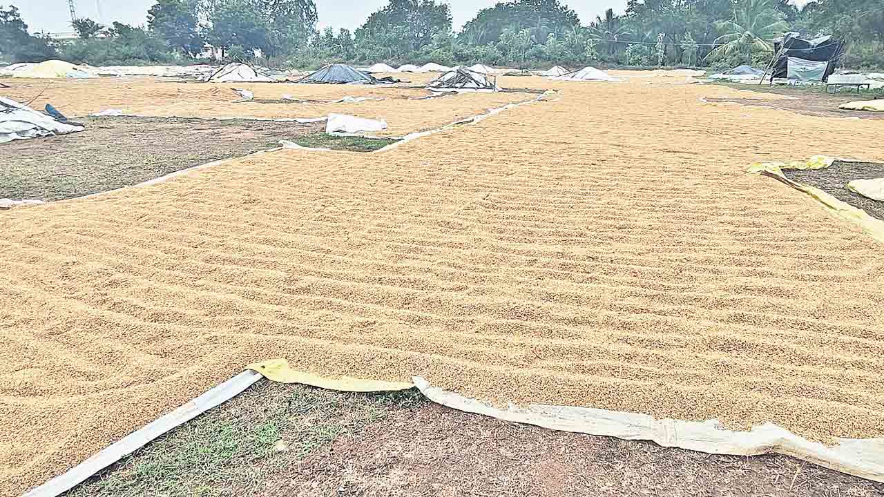 మొంథా.. రైతుల్లో చింత