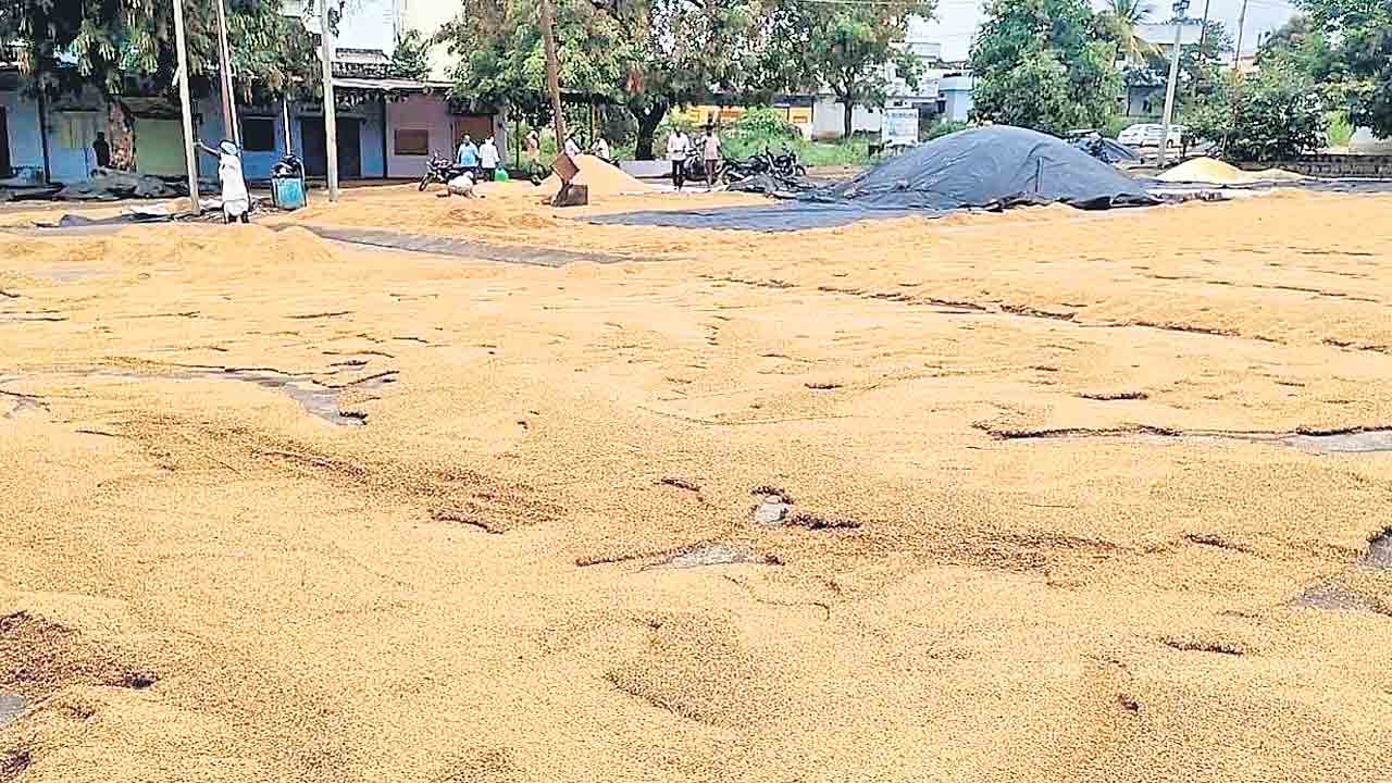 మెదక్‌, సంగారెడ్డి జిల్లాల్లో తడిసిన ధాన్యం.. ఆందోళనలో రైతాంగం