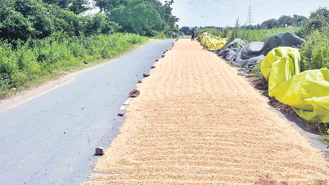 కానరాని కల్లాలు.. రోడ్లపైనే పంట ఉత్పత్తులను ఆరబెడుతున్న రైతులు