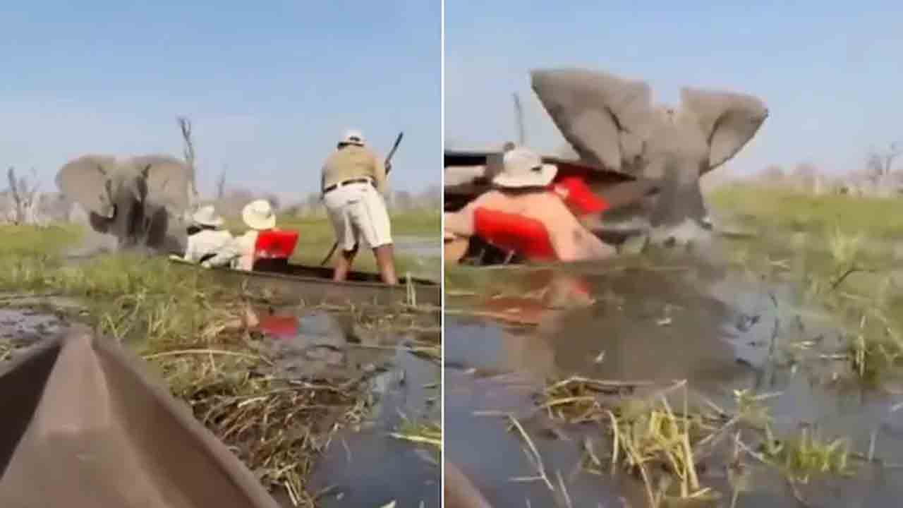 Elephant | పార్క్‌లో టూరిస్ట్‌ల బోట్లను వెంబడించిన ఏనుగు.. షాకింగ్ వీడియో