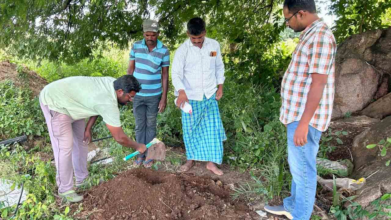 Farmers | రైతులు తగిన జాగ్రత్తలు పాటిస్తే అధిక దిగుబడులు.. ఎండు తెగులు నివారణపై ఏఈఓ నాగార్జున