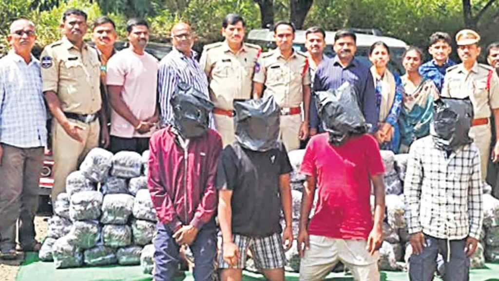 Ganja Seized