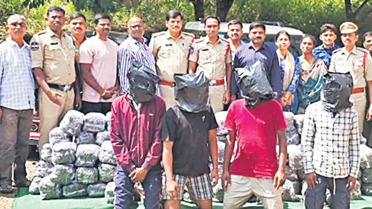 భారీగా గంజాయి పట్టివేత