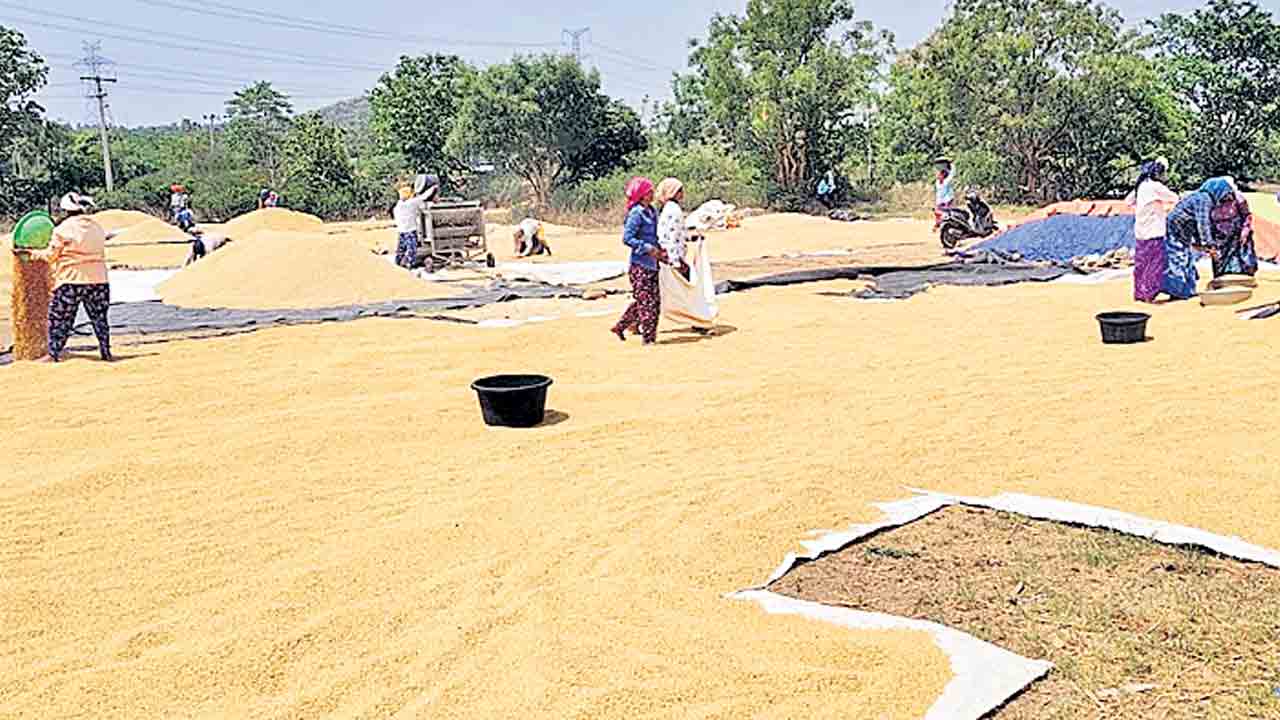 బోనస్‌.. బోగసేనా..?