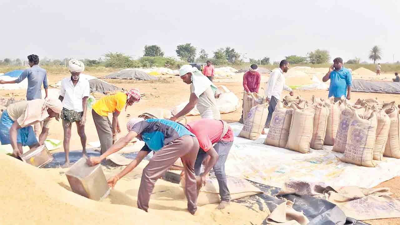 ధాన్యం సేకరణకు ప్రణాళిక ఖరారు