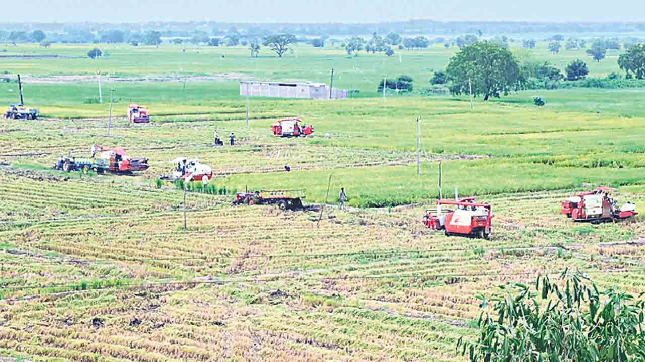 కొనుగోళ్లు సాఫీగా జరిగేనా ?