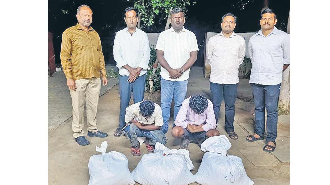 సికింద్రాబాద్‌లో 16కిలోల గంజాయి పట్టివేత