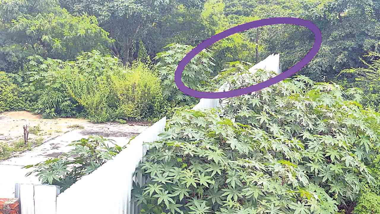 రాత్రికి రాత్రే సీసీ కెమెరాలు