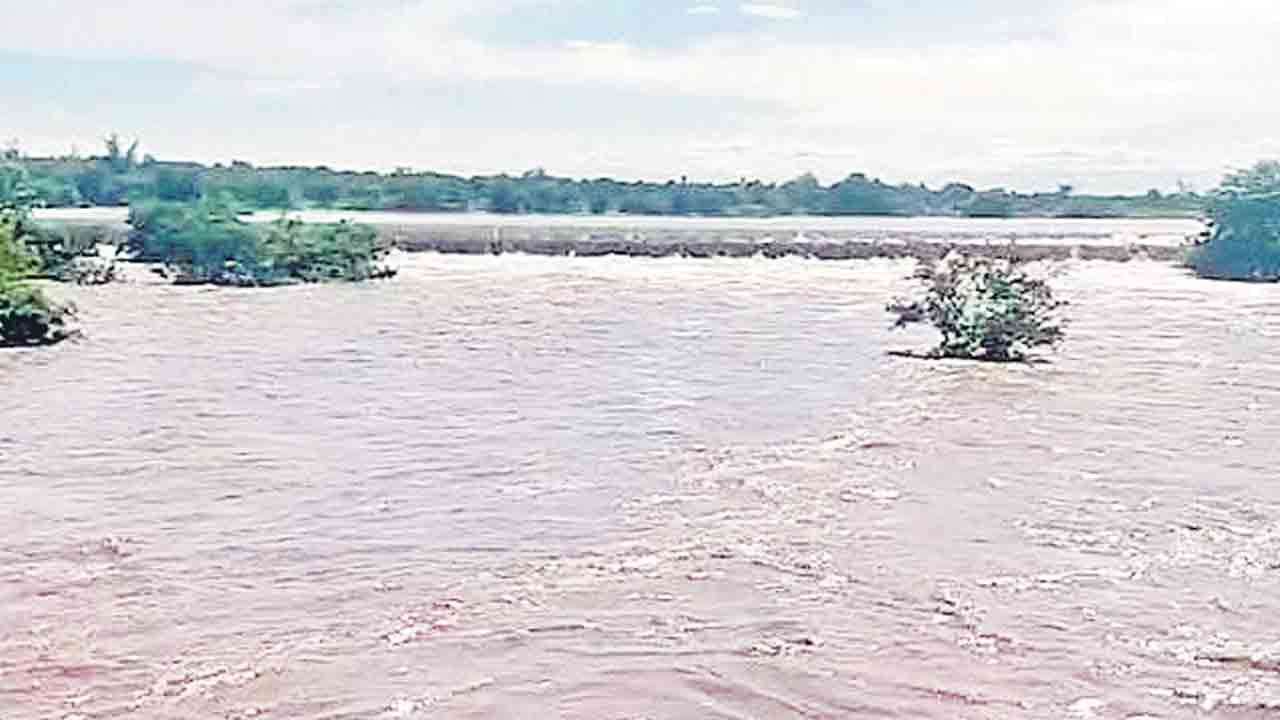 దంచికొట్టిన వాన