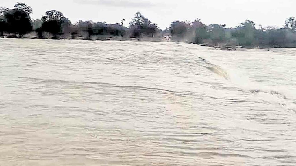 Heavy Rains