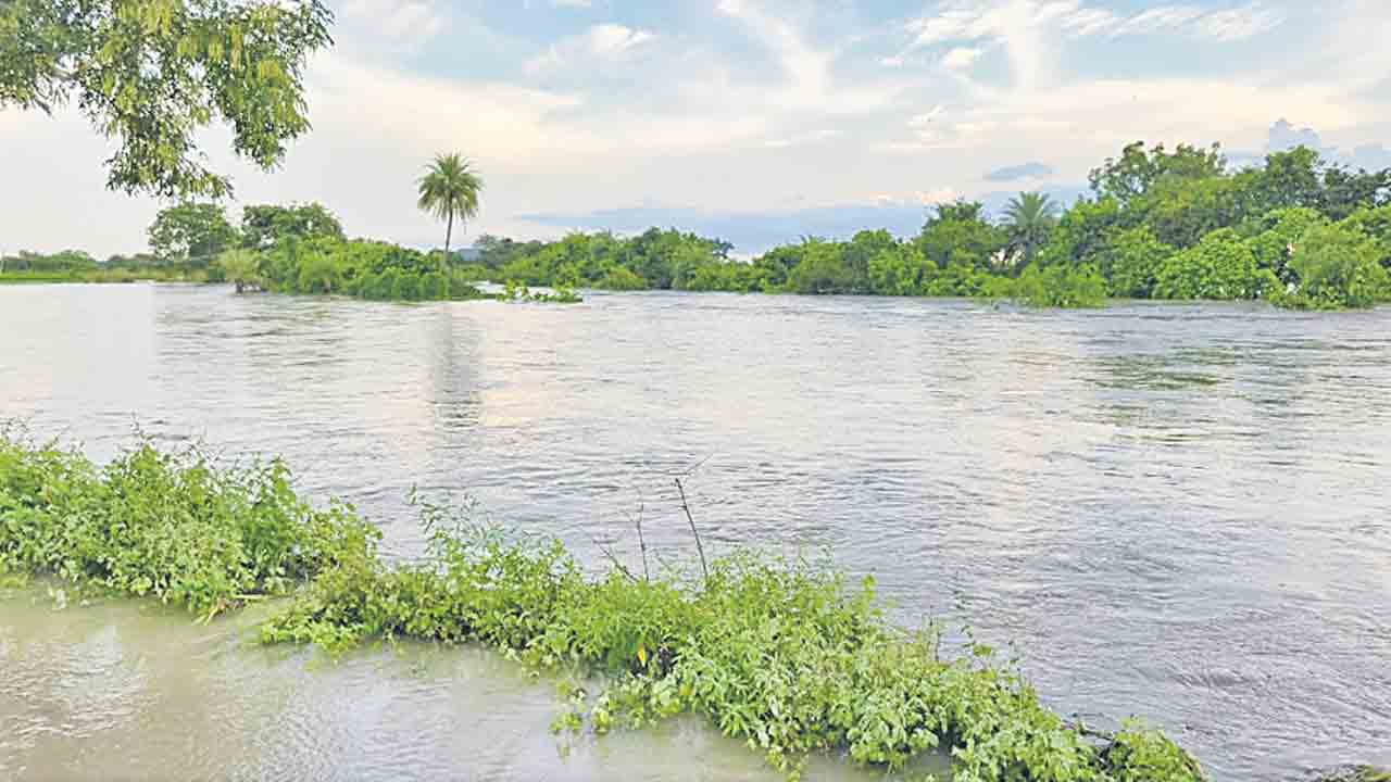 దంచికొట్టిన వాన