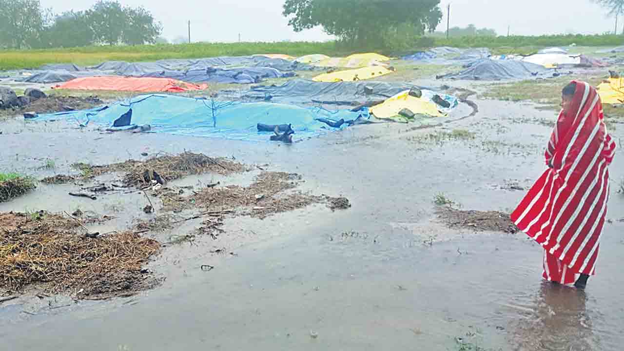 రోజంతా ముసురు