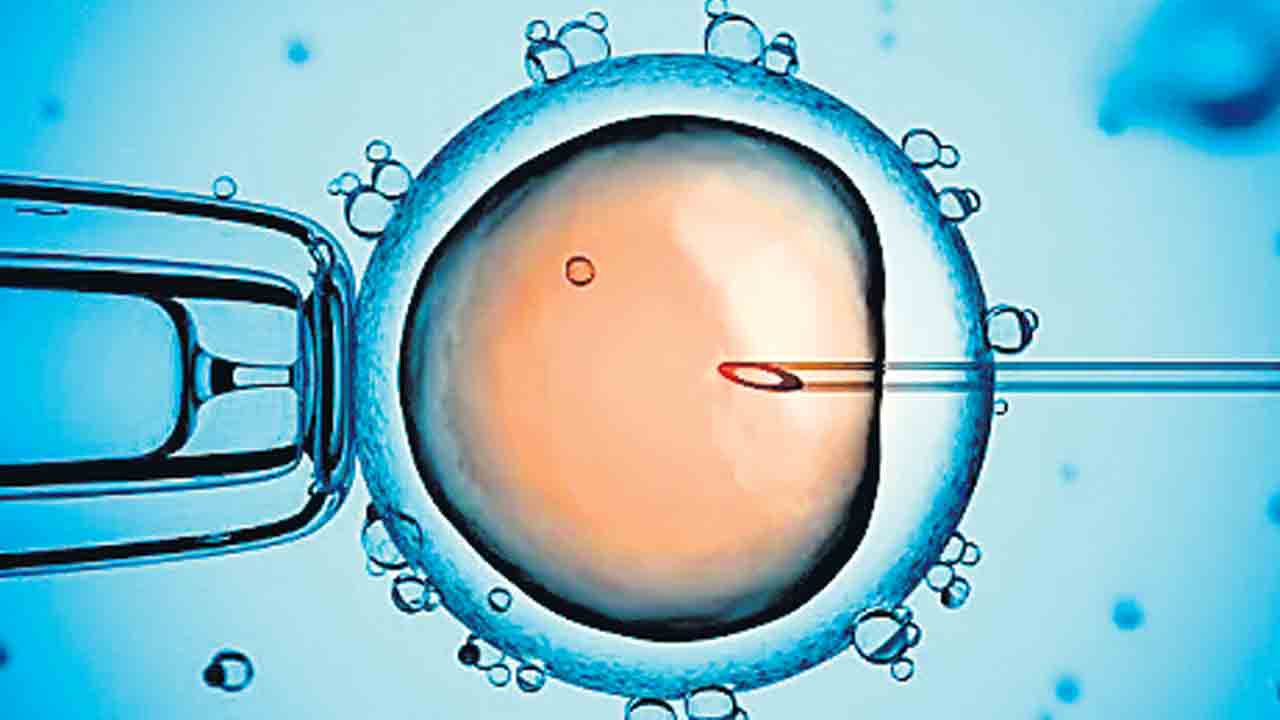 Human Embryos | చర్మ కణాల నుంచి పిండం అభివృద్ధి.. ఒరేగాన్ వర్సిటీ ఘనత!